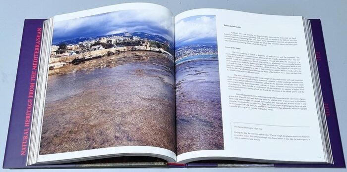 Book Adonis river Holy Land of the Phoenicians