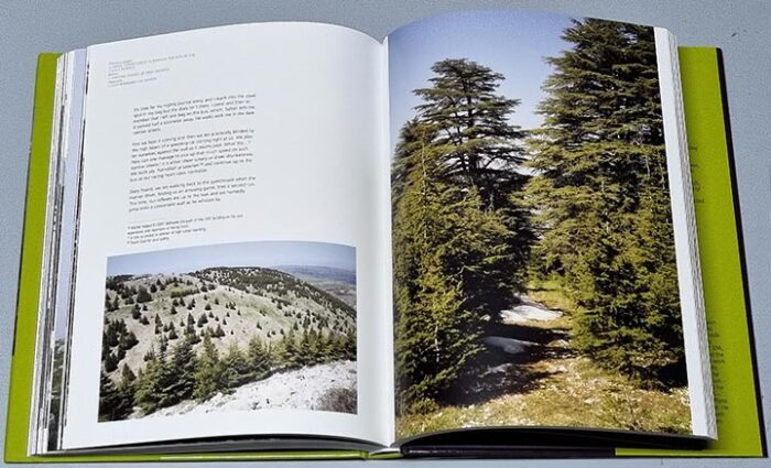 A million steps Lebanon book