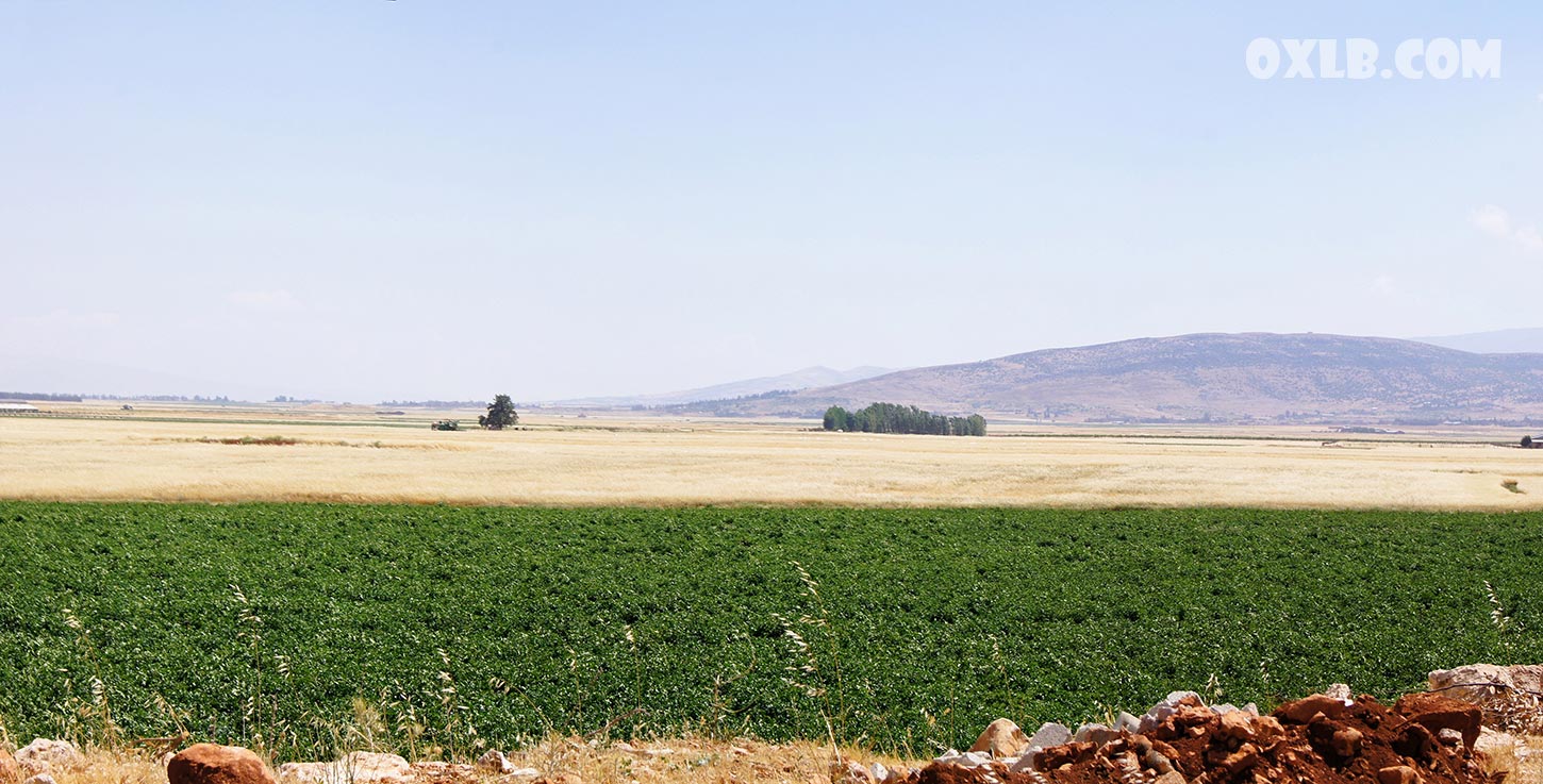 Beqaa plain 2012