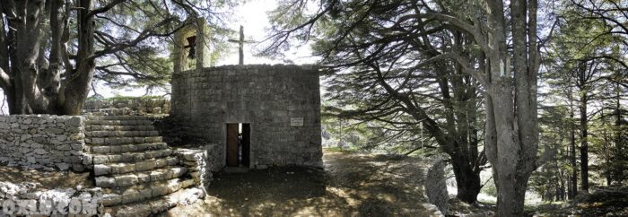 Cedars reserve and Church in Jaj