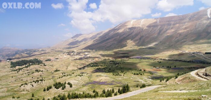 Fields above the Cedars and Bsharri