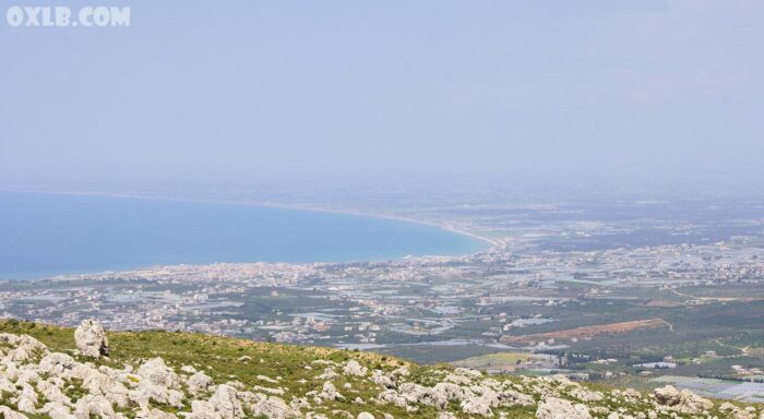 North Lebanon from Terbol 2011