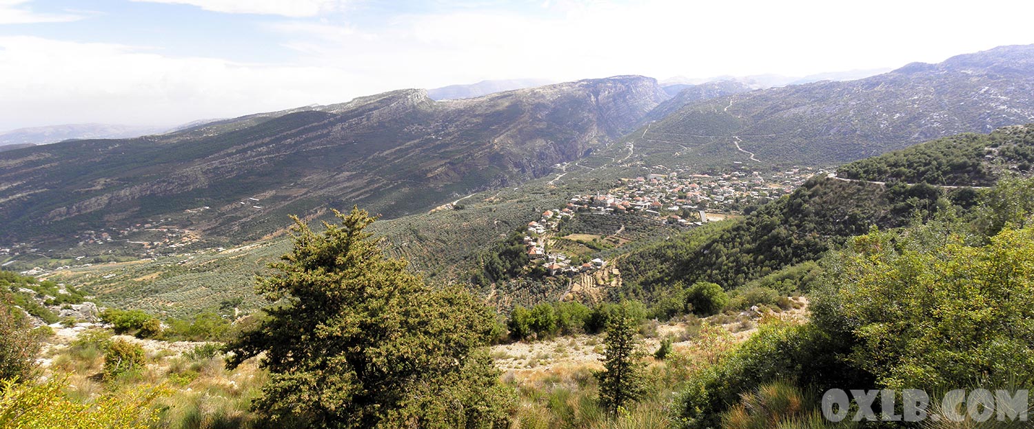 Panorama Douma village endless olive trees 2009