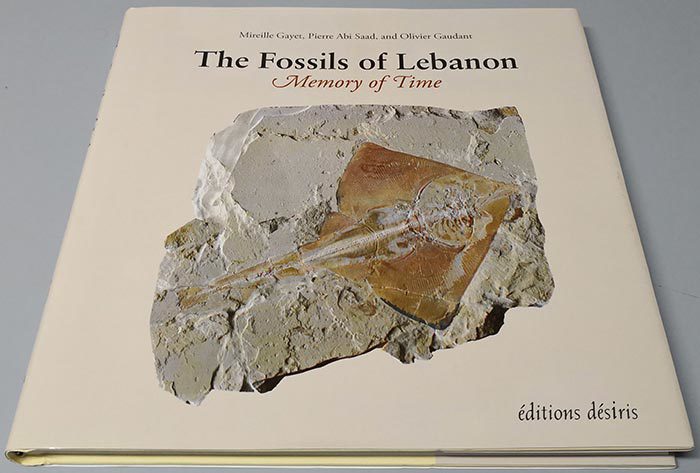 Book Fossils of Lebanon