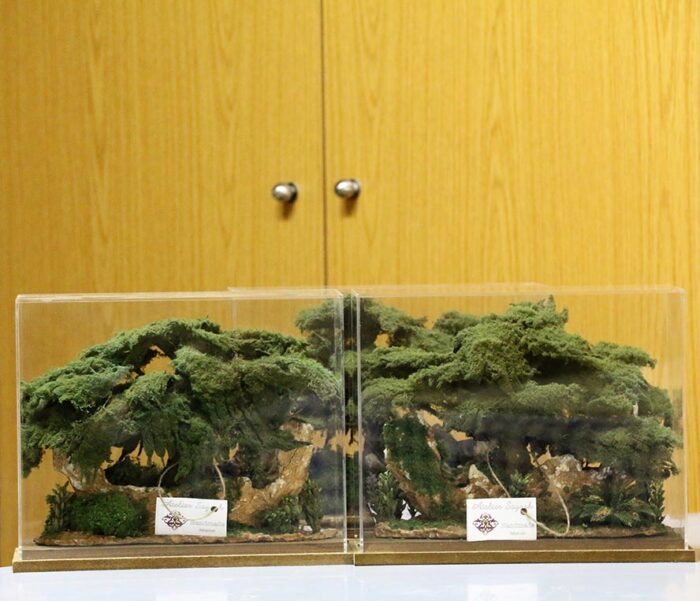 Sculpture bonsai cedar tree