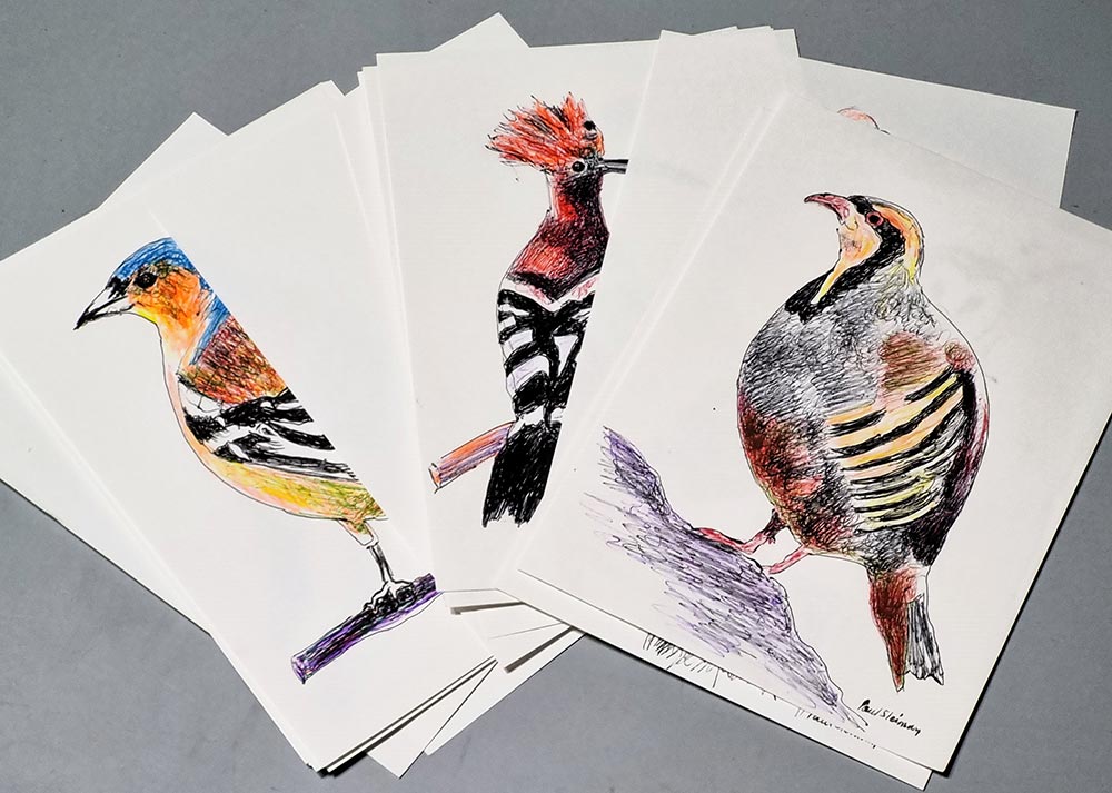 Colored original drawing of Birds of Lebanon