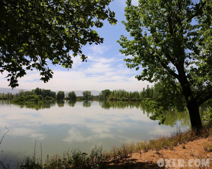 Taanayel Farm Bekaa