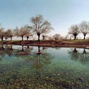 Postcards Lebanese destination - Image 17