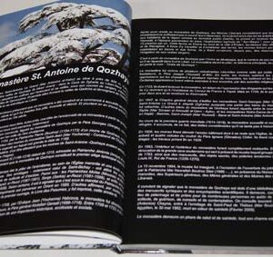 Book Saint Anthony Qozhaya Monastery - Image 11