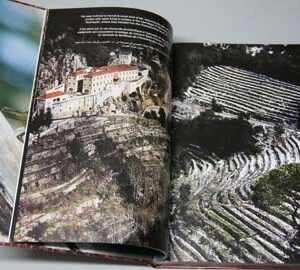 On the Steps of Saint Charbel - Sur les traces de Saint Charbel - Image 9