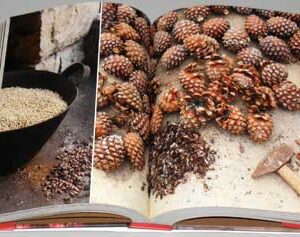 Mouneh - Preserving Foods for the Lebanese Pantry - Image 12