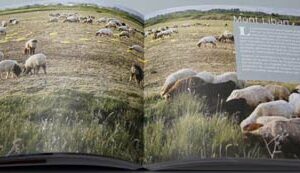 Livre - Liban Gourmand - Image 9