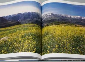 The Other Lebanon by Pascal Beaudenon - Image 12