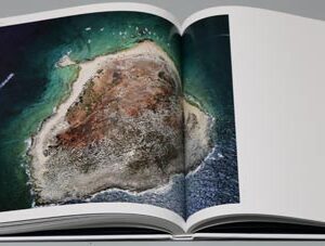 Rise Above Lebanon - Image 3