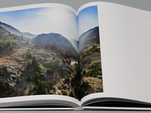 Rise Above Lebanon - Image 2