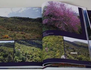 Holy Land of the Phoenicians - Adonis River - Image 25