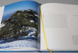 Lebanon - The Phoenician Pearl - Image 4