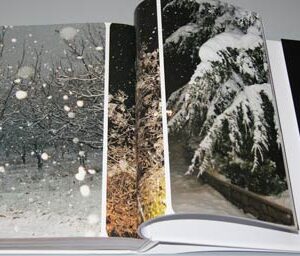 Book B. Lebanon - Night Secrets Uncovered - Image 13