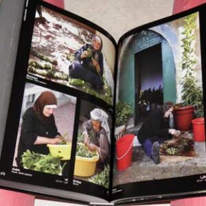 My Lebanon, Mon Liban, Loubnani, لبناني - Image 3