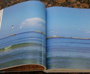 Liban sur Mer - Image 11