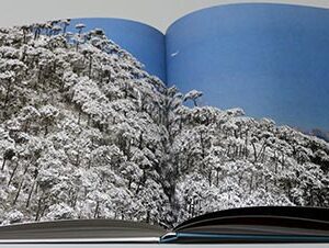 Seasons of Lebanon by Jamal Saidi - Image 7