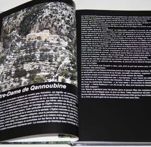 Our Lady of Qannubin - Notre Dame de Qannoubin - دير سيدة قنوبين - Image 8