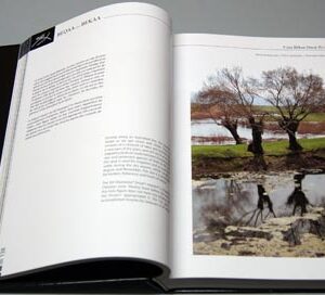 Trait d'Union: Islam - Christianisme - Hyphen: Islam - Christianity - Image 15