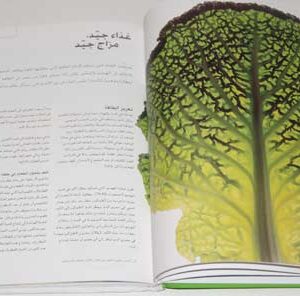 Your food is your medicine - Image 3