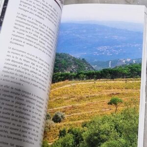 Guide des vins du Liban ZAWAQ Lebanese wine guide - Image 2