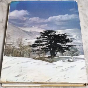 Lebanon by Fulvio Roiter - Image 7