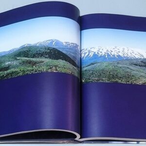 Floral Enchantment to Lebanon - Image 5