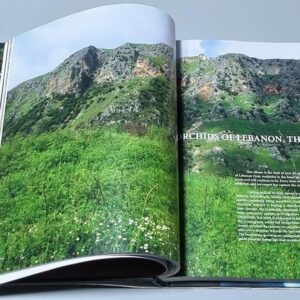 Orchids of Lebanon - Image 6