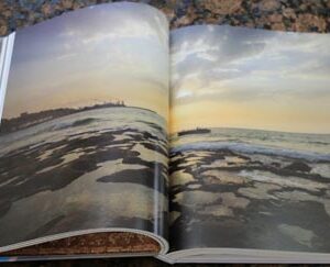 Liban sur Mer - Image 10