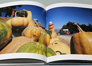 Seasons of Lebanon by Jamal Saidi - Image 6