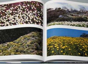 The Other Lebanon by Pascal Beaudenon - Image 10