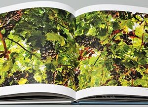 Seasons of Lebanon by Jamal Saidi - Image 5