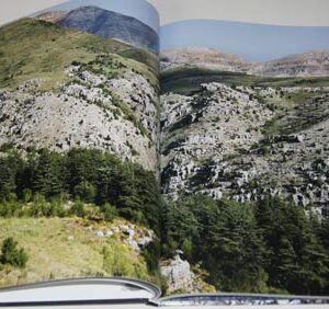 Saint Elisha Monastery - Monastère Saint Elisée - دير مار ليشاع - Image 4