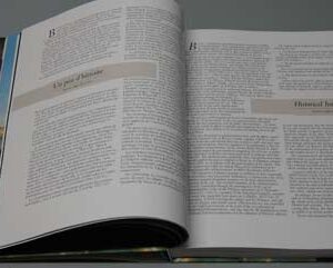 Beirut and the Sultan - Image 8