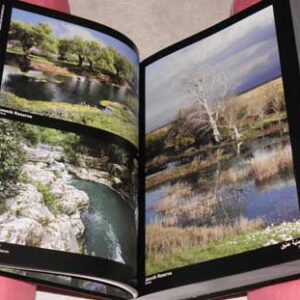 My Lebanon, Mon Liban, Loubnani, لبناني - Image 16