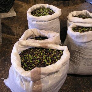 Organic Extra Virgin Olive Oil زيت زيتون بكر ممتاز - Image 10