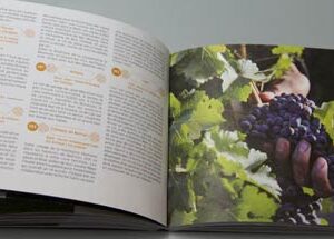 Livre - Liban Gourmand - Image 6