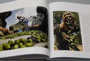 Lebanon Beauty Beyond Belief - Image 7