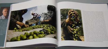 Lebanon Beauty Beyond Belief - Image 7