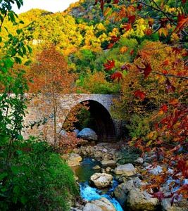 Postcards - Lebanon Heaven on Earth - Image 3