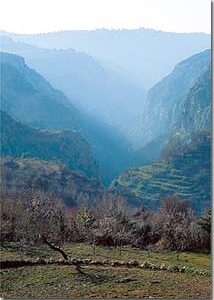 Lebanon through the lens of Munir Nasr - Image 7