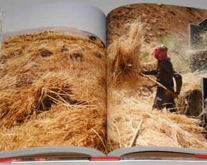 Mouneh - Preserving Foods for the Lebanese Pantry - Image 8