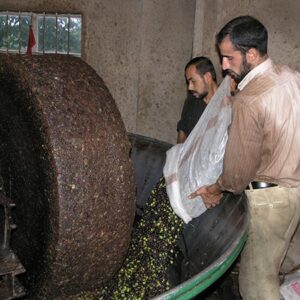 Organic Extra Virgin Olive Oil زيت زيتون بكر ممتاز - Image 11