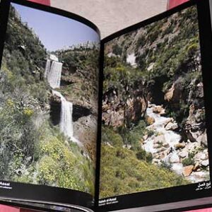 My Lebanon, Mon Liban, Loubnani, لبناني - Image 14