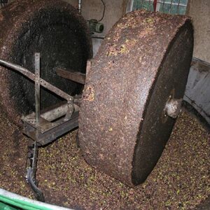 Organic Extra Virgin Olive Oil زيت زيتون بكر ممتاز - Image 12