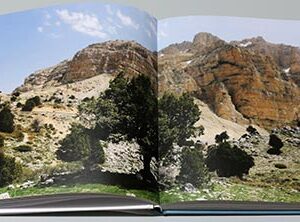 Seasons of Lebanon by Jamal Saidi - Image 2